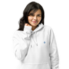 Organic Adult Eco Raglan Hoodie